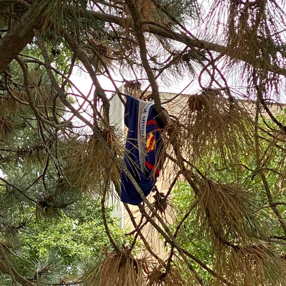 Slip of Superman in a tree