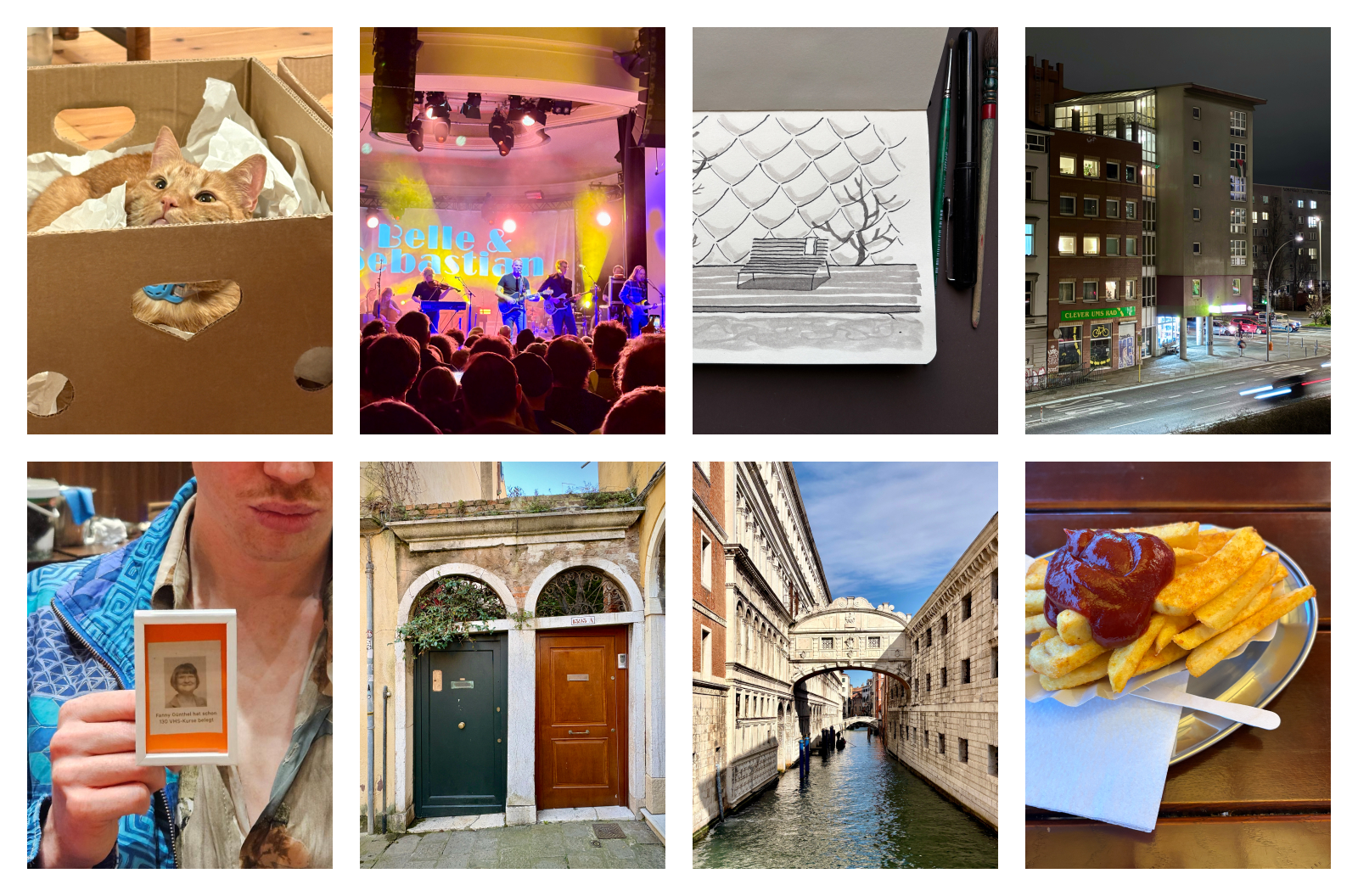 Collage aus Fotos: Pommes, Konzert, eine Katze in einem Karton, Venedig